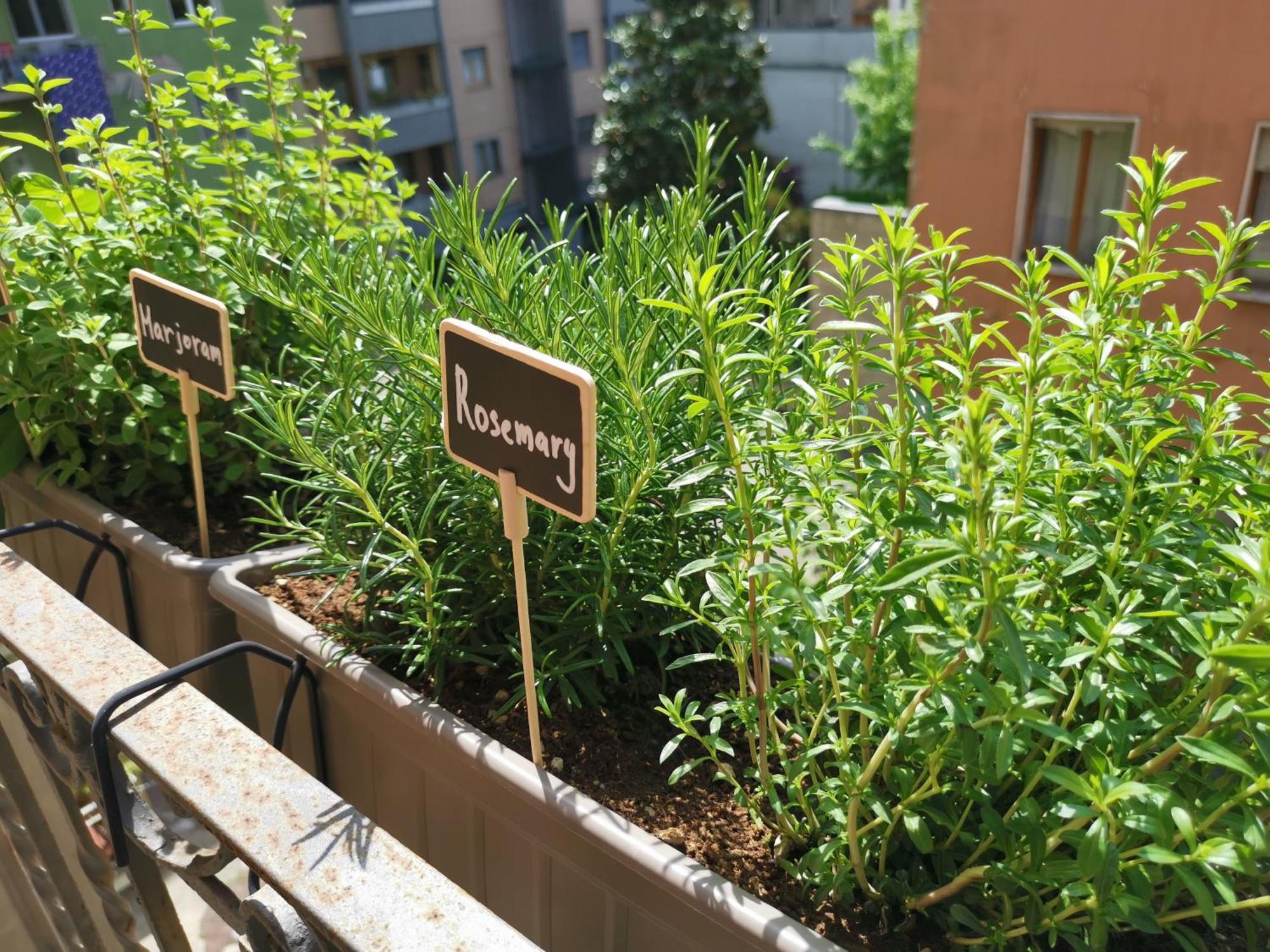 Spacious Apartment 50 Meters From The Metro Milan Bagian luar foto